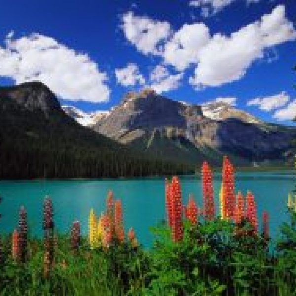 Yoho National Park, Canada --- Emerald Lake and Canadian Rockies --- Image by © Ron Watts/CORBIS