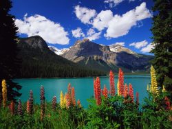 Yoho National Park, Canada --- Emerald Lake and Canadian Rockies --- Image by © Ron Watts/CORBIS